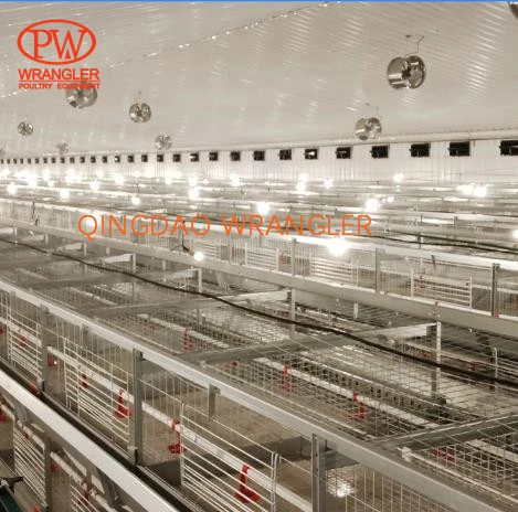 Commercial Egg High Quality Indian Poultry for Chicken Layer Battery Brolier Farming Cage
