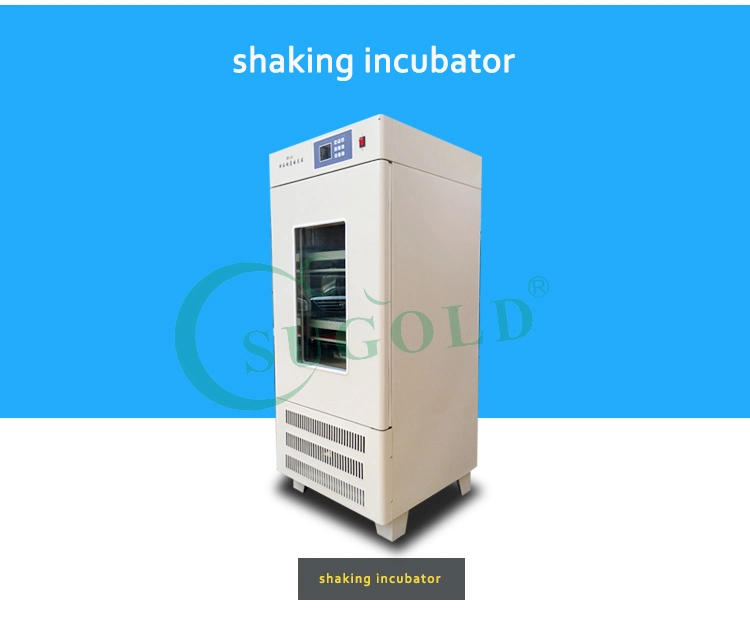 Hot Selling Laboratory Shaking Incubator Oscillations Incubator