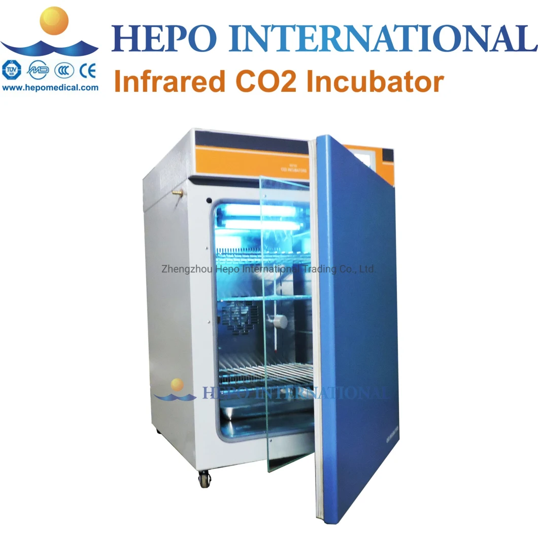 Lab Constant Temperature Biological Cell Growth Incubator (HP-CTB180)