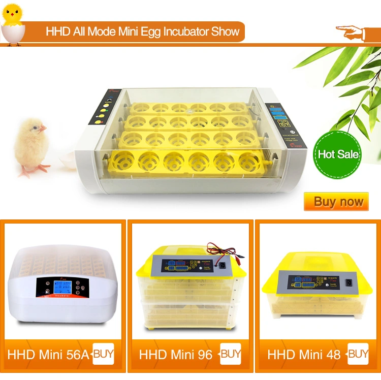 Yz-56s Newest Mini Incubator Egg 56 with LED Light