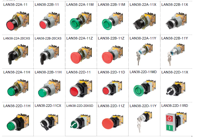 22mm Push Button Switch with Light (LAN38-22D-11XD; LAN38-22D-20XSD)