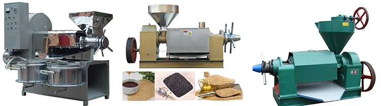 Hot Pressing Stainless Steel Sesame Palm Oil Pressing Machine Easy Operation
