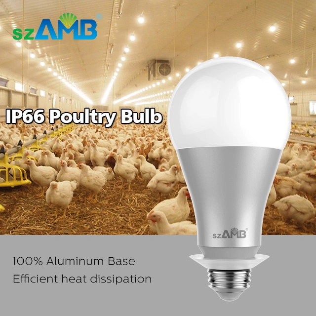 7W 11W Szamb LED Crown Bulb for Poultry Farm