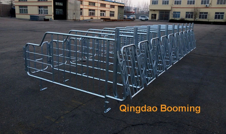 Hot-DIP Galvanized Material Pig Gestation Crate