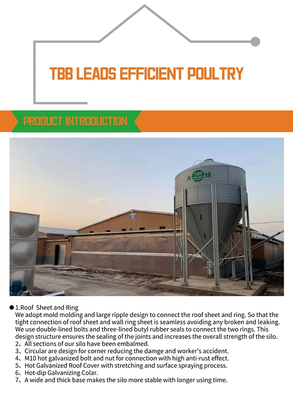 Poultry Shed Broiler Poultry Farm Equipment Feed Silo for Poultry