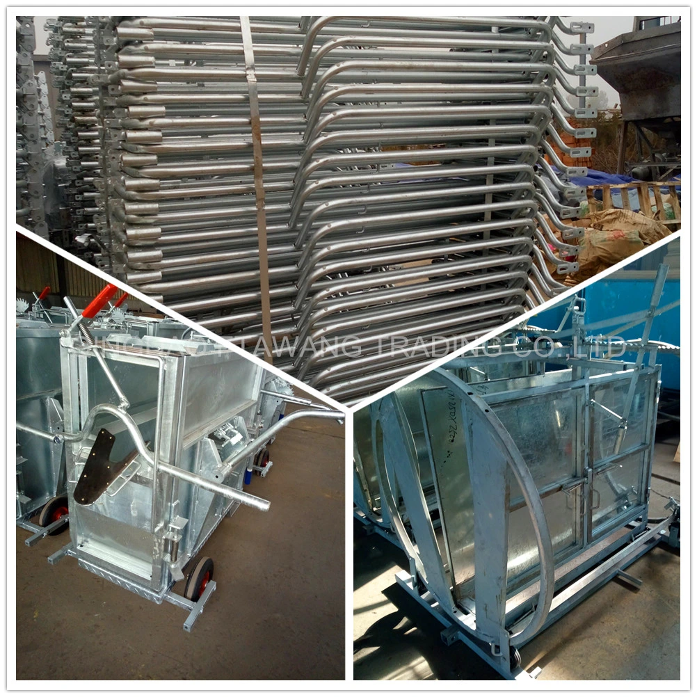 High Quality Galvanized Pig Crate Pig Farrowing Crate