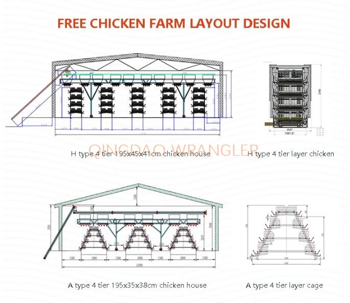 Pullet Rearing Cage Automatic Feeding and Drinking System, H-Type Cage