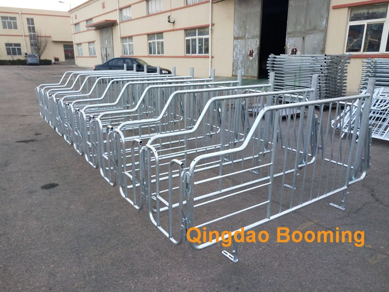 Hot-DIP Galvanized Material Pig Gestation Crate