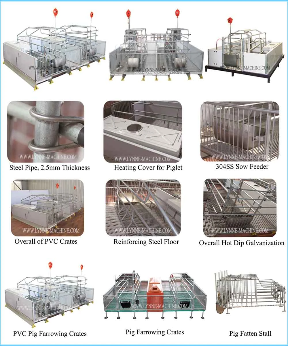 Livestock Pig Sow Feeding Equipment with Steel and Plastic Types