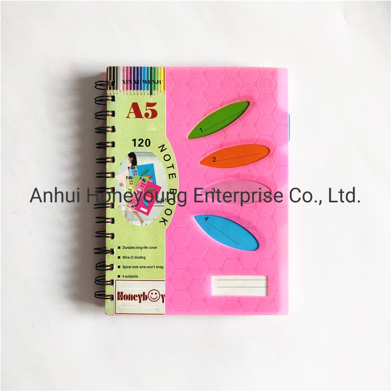B5/A5/A6 Size 120sheets Note Book Plastic Cover Spiral Notebook