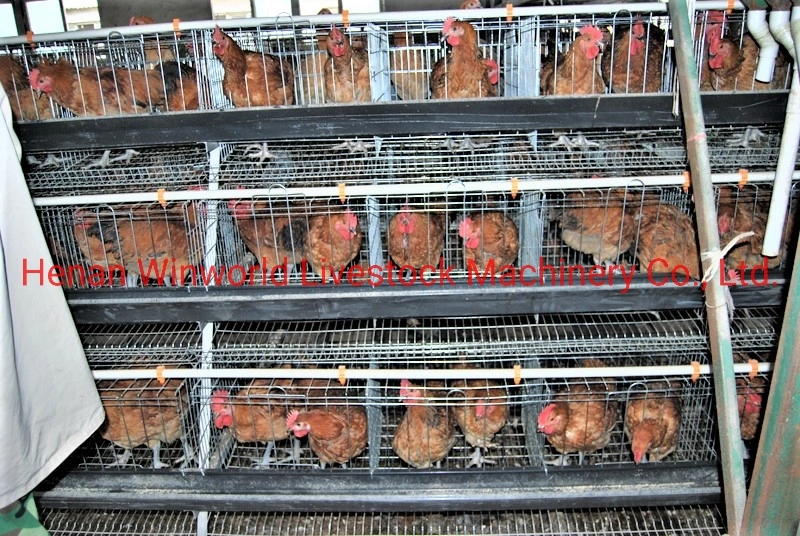Layer/Broiler Breeder Cage with PVC Feed Trough