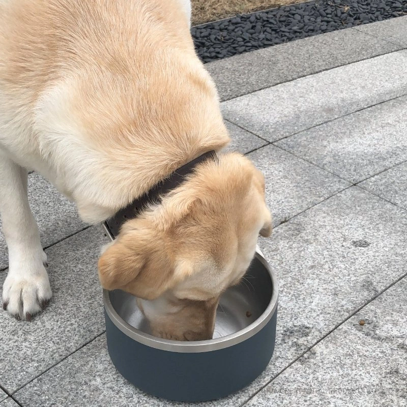 Non Slip Rubber Base Stainless Steel Pet Bowl 64oz Dog Feeding Bowl