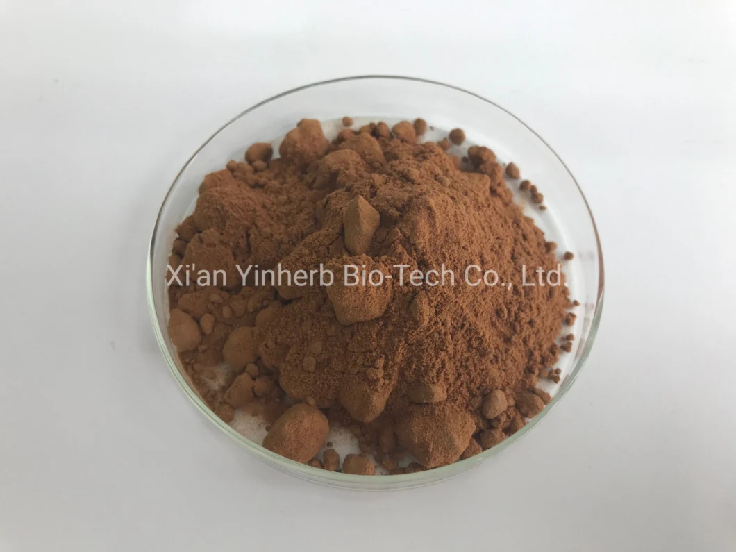 Professional Production and Wholesale Cordyceps Sinensis Extract / Super Lion's Mane Mushroom