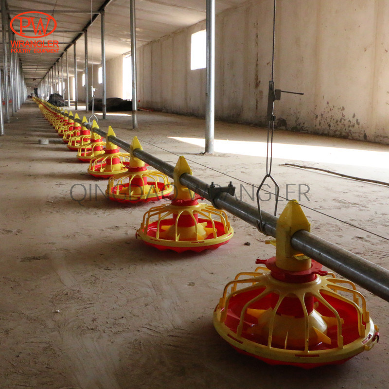Broiler Farming Equipment Automatic Poultry Feeding Line System for Broiler Farm