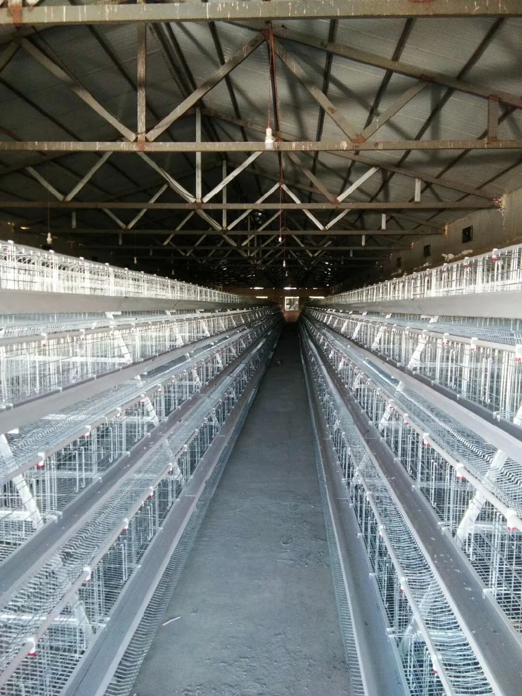 Hot Galvanized Africa Poultry Farms Automatic Chicken Layer Bird Cage