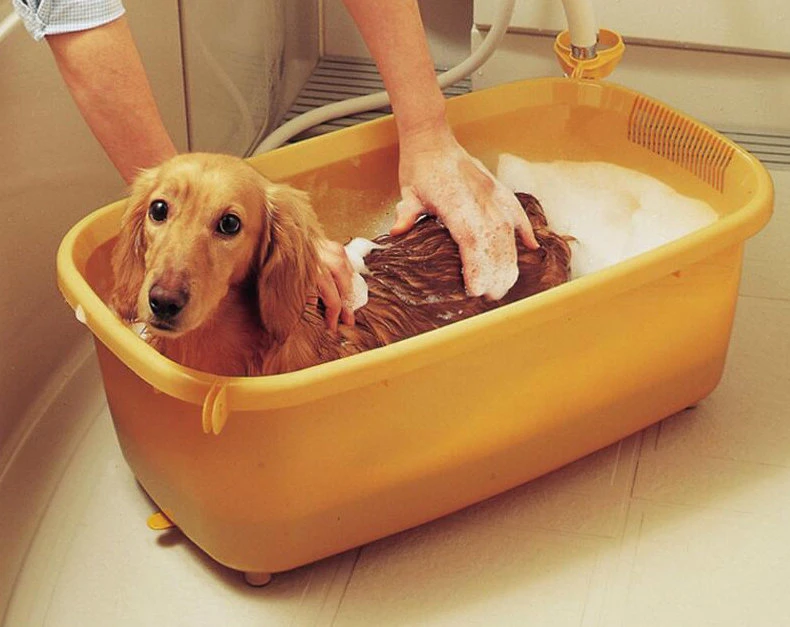 2018 Plastic Dog SPA Wash Bath Tub/Bathtubs for Small Pets