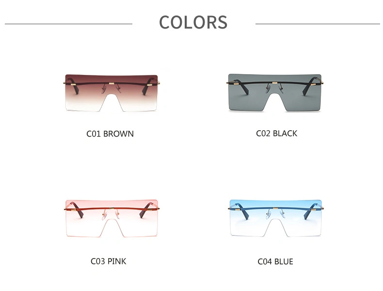 Factory Direct Sale Fashionable New Design Oversize PC Sunglasses (S2012)