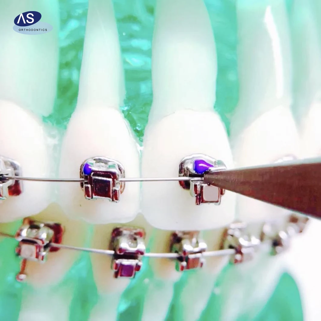 as Ortho Passive Orthodontic Self Ligating Brackets/Ortho Metal Braces 1g