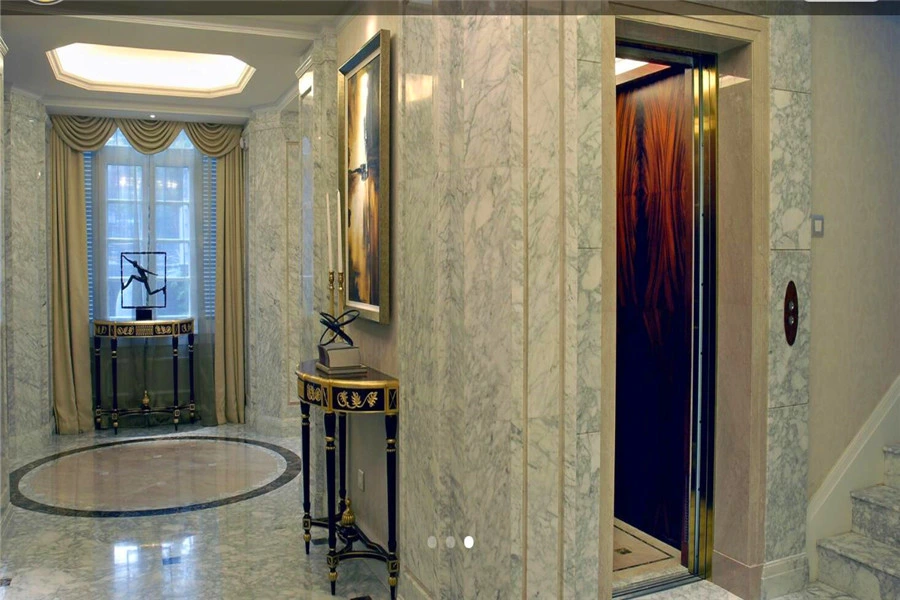 Mrl Home Elevator Lift Villa Elevator APSL Private House Elevator