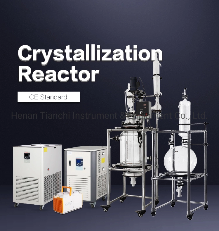 Customize 100 Liter Double Layer Laboratory Glass Microreactor Glass Reactor