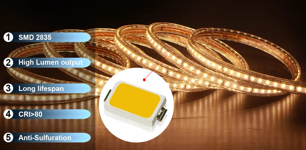 ETL Certified SMD 2835 Flexible LED Strip Light LED Rope Light for Outdoor Indoor Using Applicable for Garden Escalator Stairways Passageways