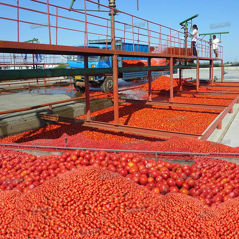 Tomato Paste Processing Line/Processing Plant/Tomato Paste Production Line Machines