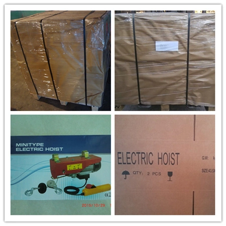 Wire Rope Hoist Mini Electric Hoist