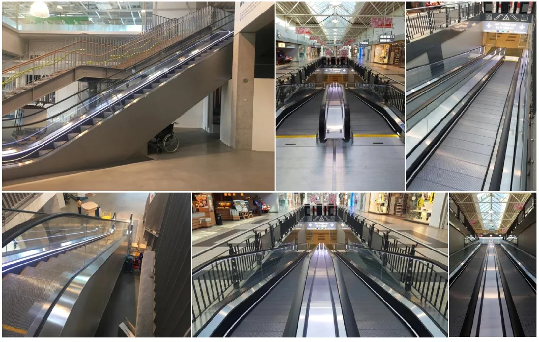 12 Degree 1000mm Step Width Moving Walk for Supermarket (XNW-005)