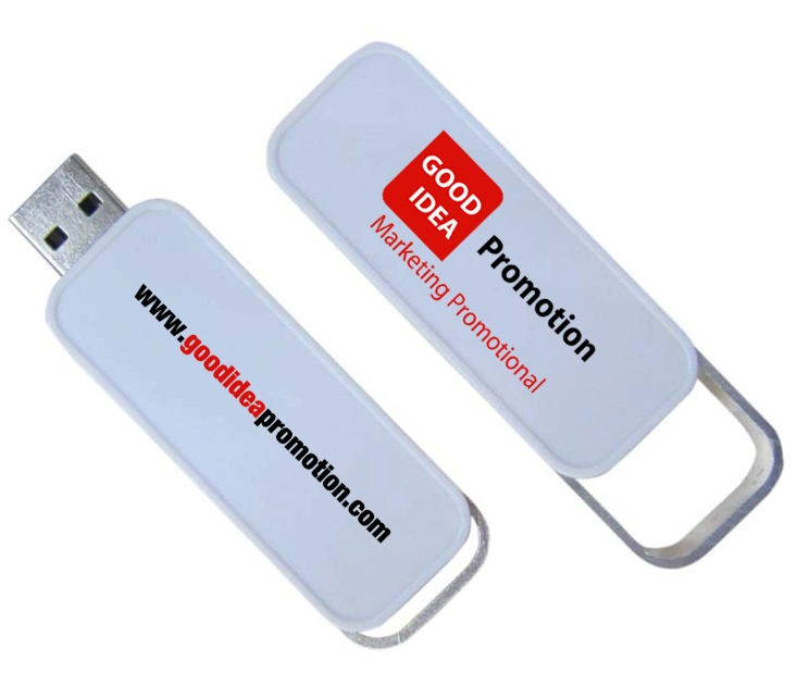 Metal Mini USB Flash Drive with Keychain Design