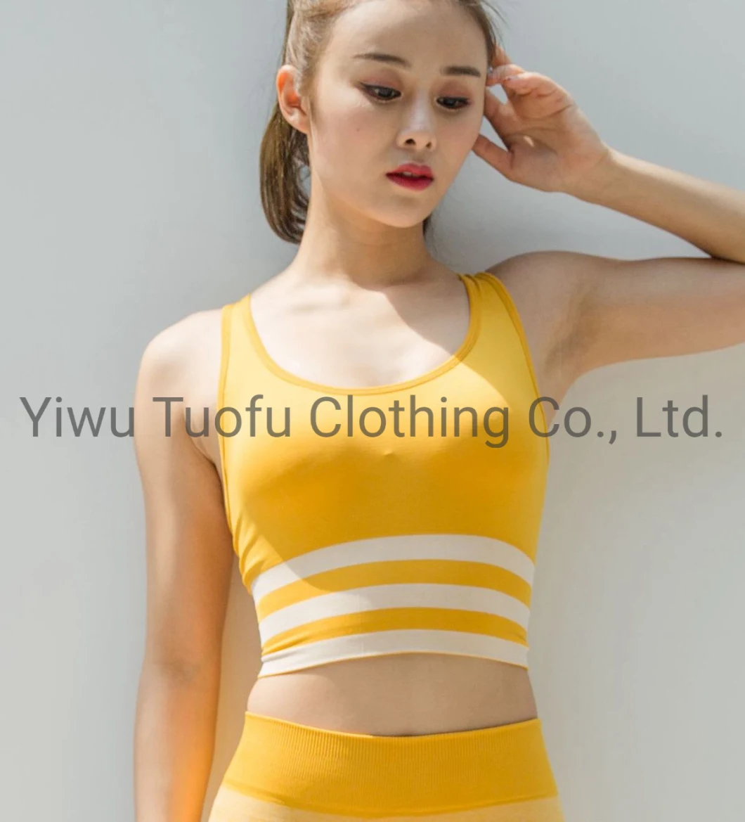 Sportswear Gym Wear Yoga Wear Active Wear Running and Cycling Clothes Sports Suit Fitness Wear