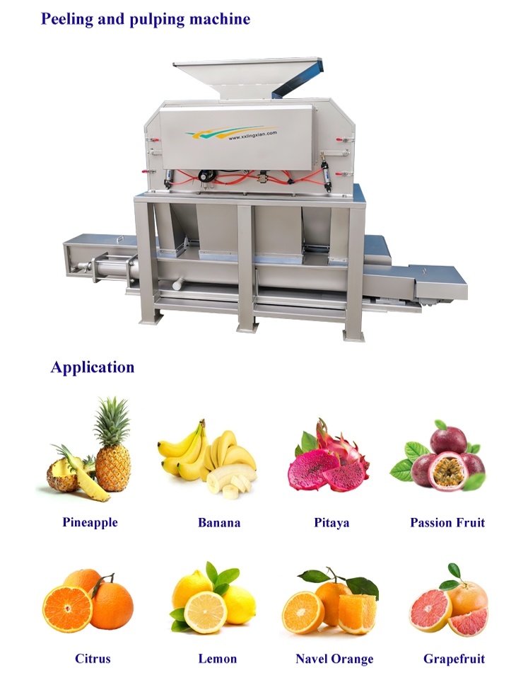 Pineapple Processing Machinery, Pineapple Juice Production Line, Pineapple Juice Maker