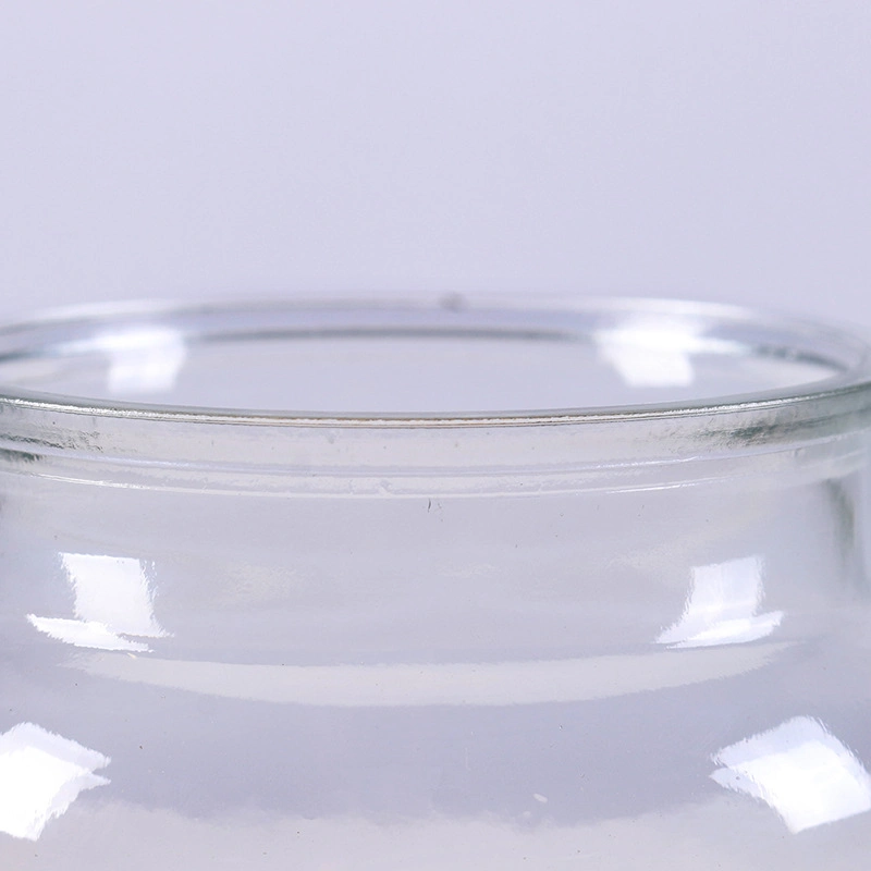 Glass Storage Jars with Glass Lid Glass Storage Jar Tea Canister Candy Jar