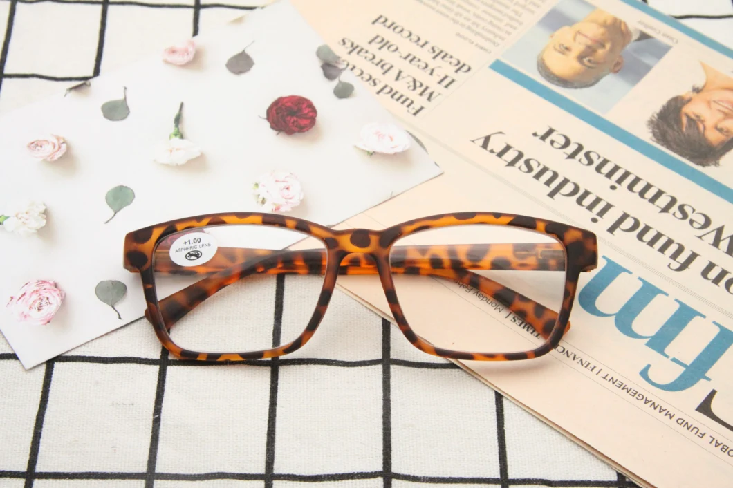 2021 Stylish USA Favor Rubber Finishing Tortoise PC Rectangle Reading Glasses for Men