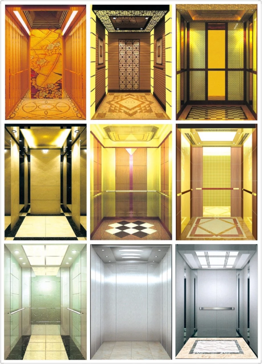 Vvvf Passenger Panoramic Villa Glass House Golden Elevator with Machine Room-Less