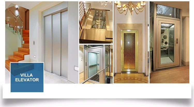 Low Noise Indoor Panoramic Home Elevator