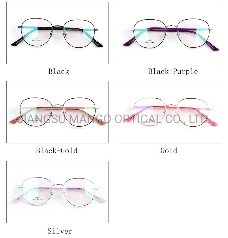 Circle Metal Frame Optical Glasses with Beauty Insert Core Temples Eyewear