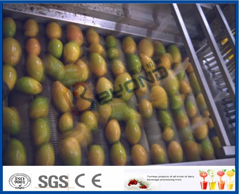 Mango Juice Processing Machine Mango Processing Line concentrate pulp processing line for Mango
