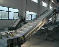 High-Proficient Typical Pineapple Production Line for Pineapple Juice, Jam or Snacks Processing