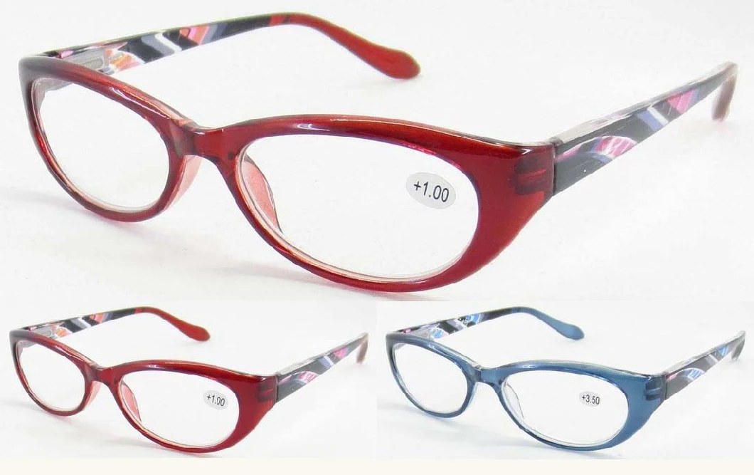 Hot Fashion Reading Glasses/Long Temple Reading Glasses (RP486010)