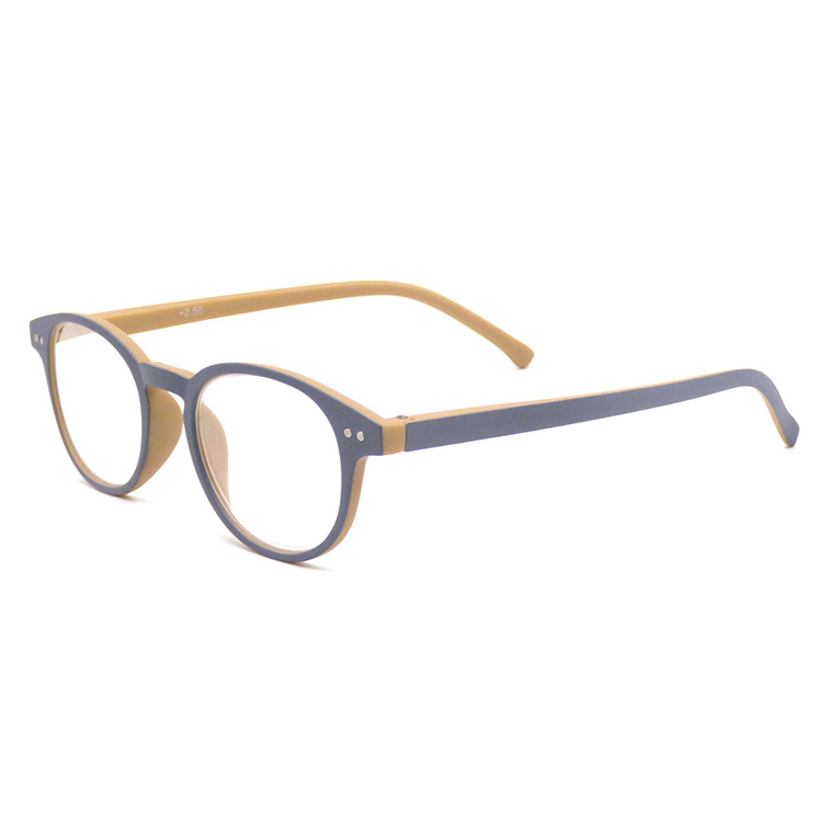 China Manufacturer Plastic Round Tortoise Frames Reading Glasses Intellectual