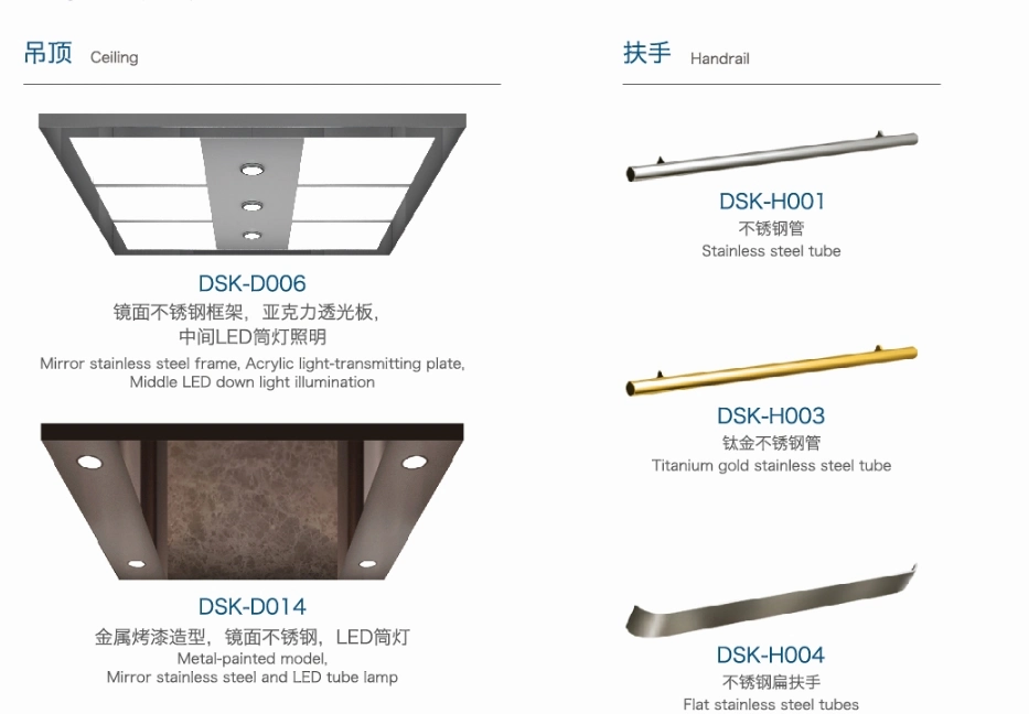 Load 250~400kg for Small Passenger Elevator