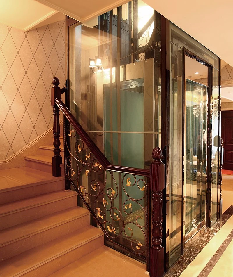 Luxury Lifts Villa Elevator Residential Home Elevator with Fast Delivery