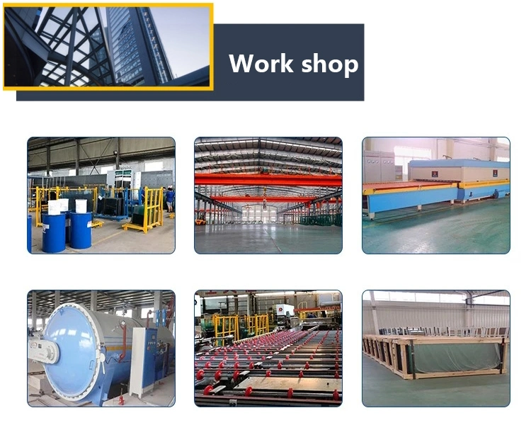 Safety Glass/Laminated Glass /Tempered Glass/Insulated Glass Chinese Supplier