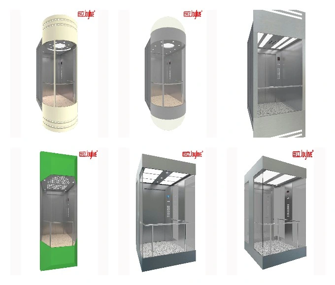 China Low Noise Glass Panoramic Elevator Lift for Shopping Mall