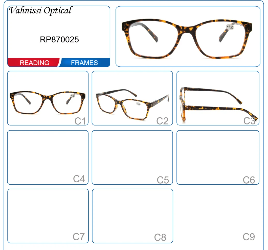 2021 Europe Custom Logo Design CE Polycarbonate Demi Tortoise Reading Glasses