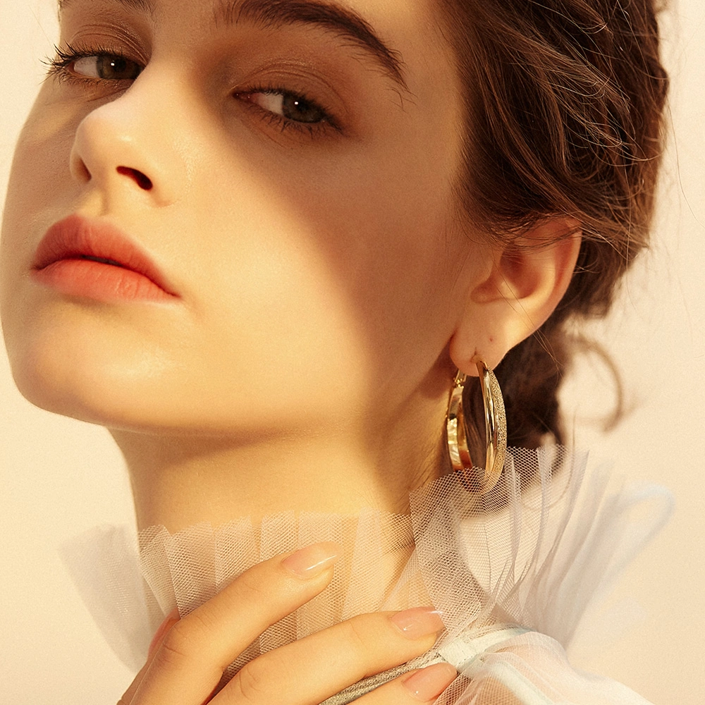 Rose Gold Earrings Silver Geometric Hoop Earrings Fashion Double Circle Layered Twist Hoop Earrings Jewelry for Women