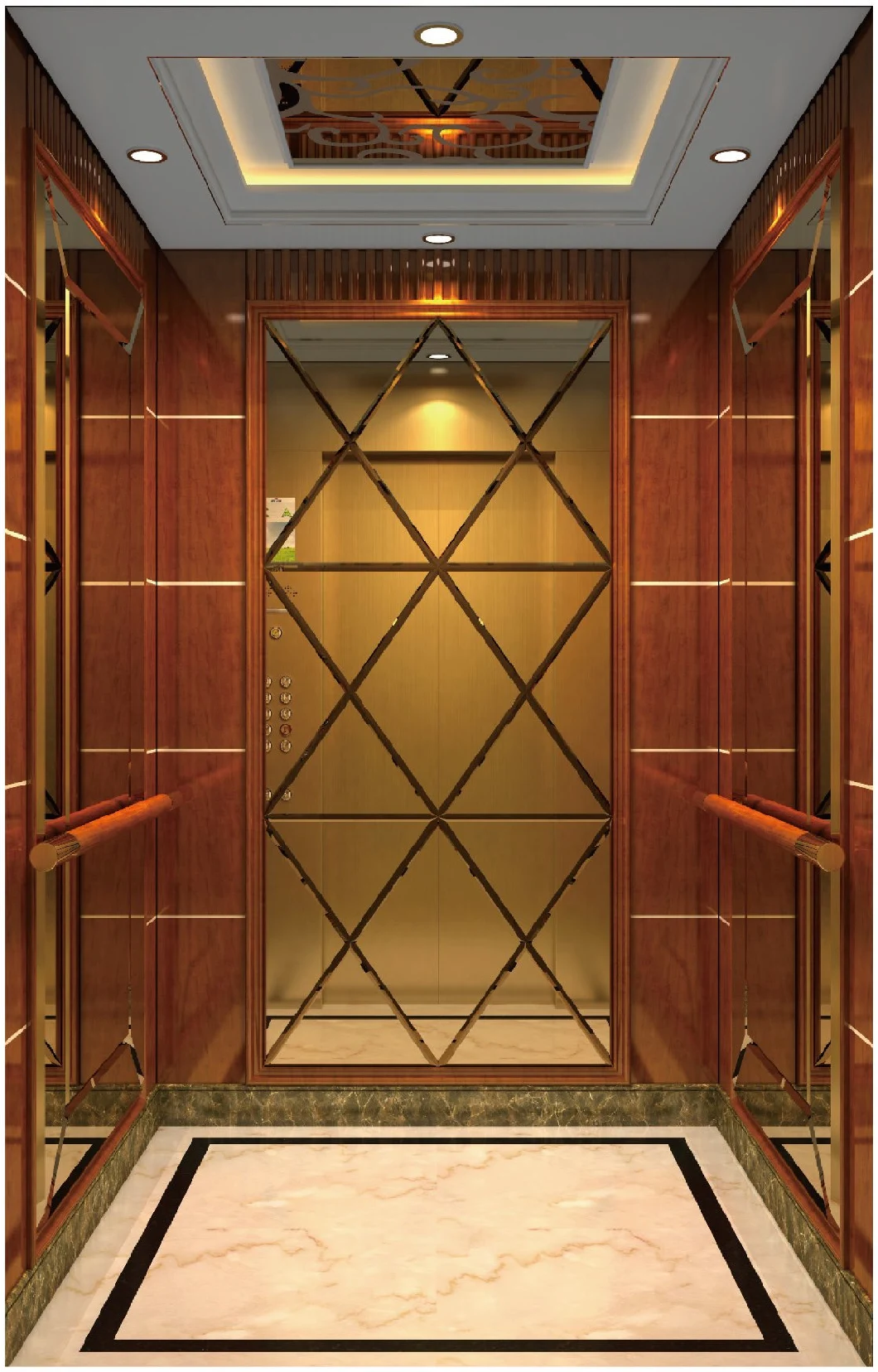 Luxury Lifts Villa Elevator Residential Home Elevator with Fast Delivery