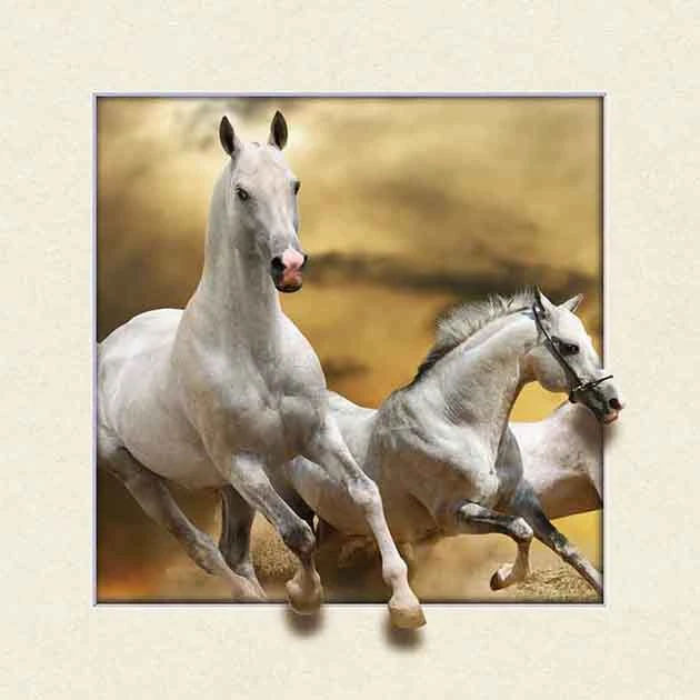 5D Animal Picture Horse Lenticular Picture Posters Customized