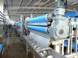 High-Proficient Typical Pineapple Production Line for Pineapple Juice, Jam or Snacks Processing