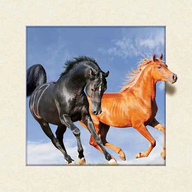 5D Animal Picture Horse Lenticular Picture Posters Customized